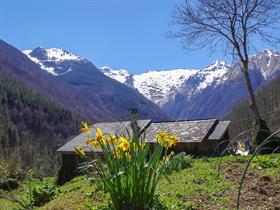 Camping à La Ferme Les Bouriès