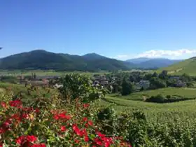 Camping Le Médiéval