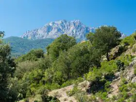 Camping Aire Naturelle Cabanella