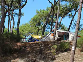 Camping Municipal du Cap de L'Homy