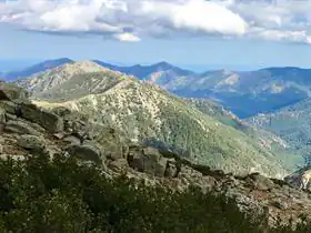 Camping La Pinède - Saint Florent