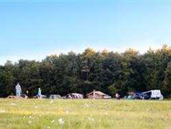 Foto van Camping Domaine de Corneuil in 24340 Saint Sulpice de Mareuil, Dordogne (3)