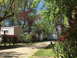 Foto van Camping La Couteliere in 84800 Lagnes, Vaucluse (5)
