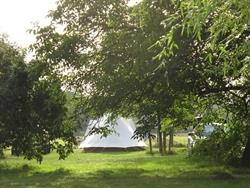 Foto van Camping Domaine Franck Besson in 69840 Jullié, Rhône (3)