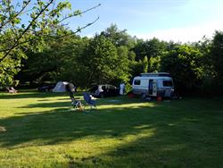 Foto van Camping Domaine Franck Besson in 69840 Jullié, Rhône (4)