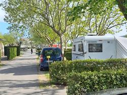 Foto van Camping Municipal Les Îles de Silon in 26240 Saint Vallier, Drôme (7)