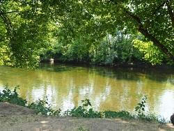 Foto van Camping Le Vézère Périgord in 24620 Tursac, Dordogne (5)