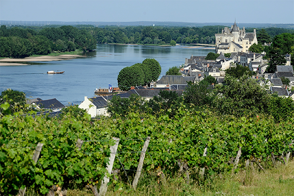 Atlantische Loirestreek Campings