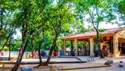 Camping L'Ombrage
